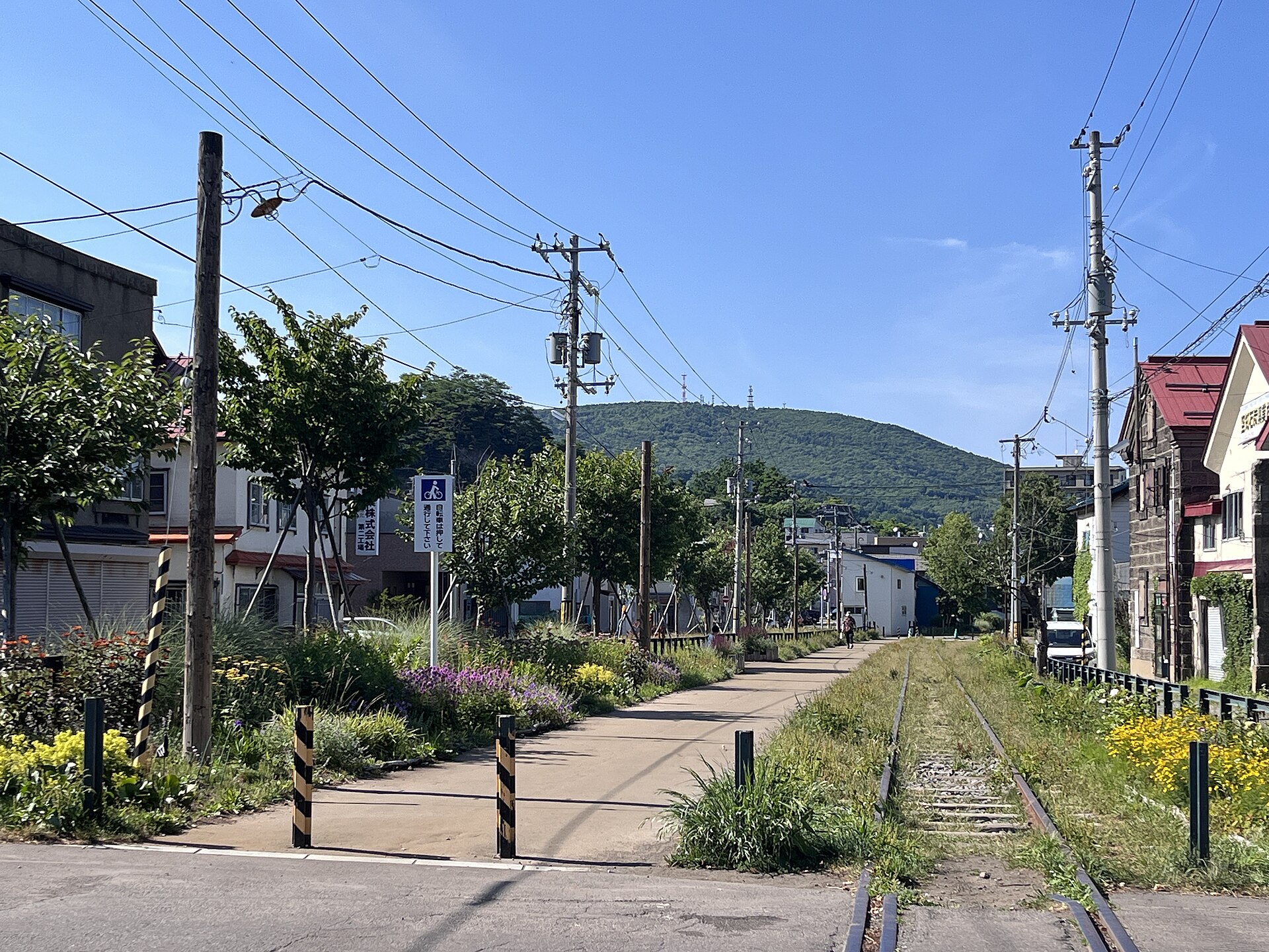 旧手宮線跡の線路と沿道