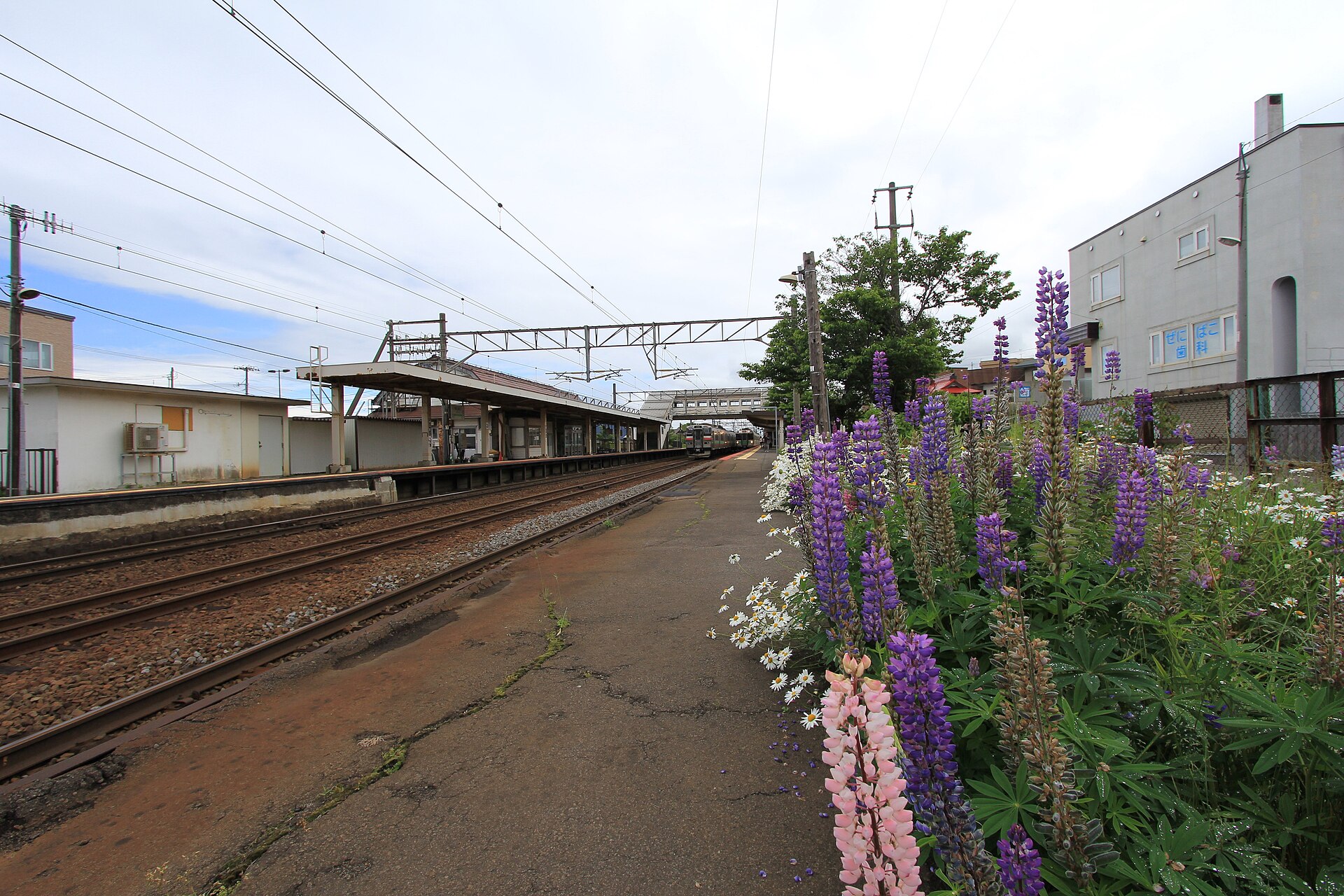 銭函駅のホーム